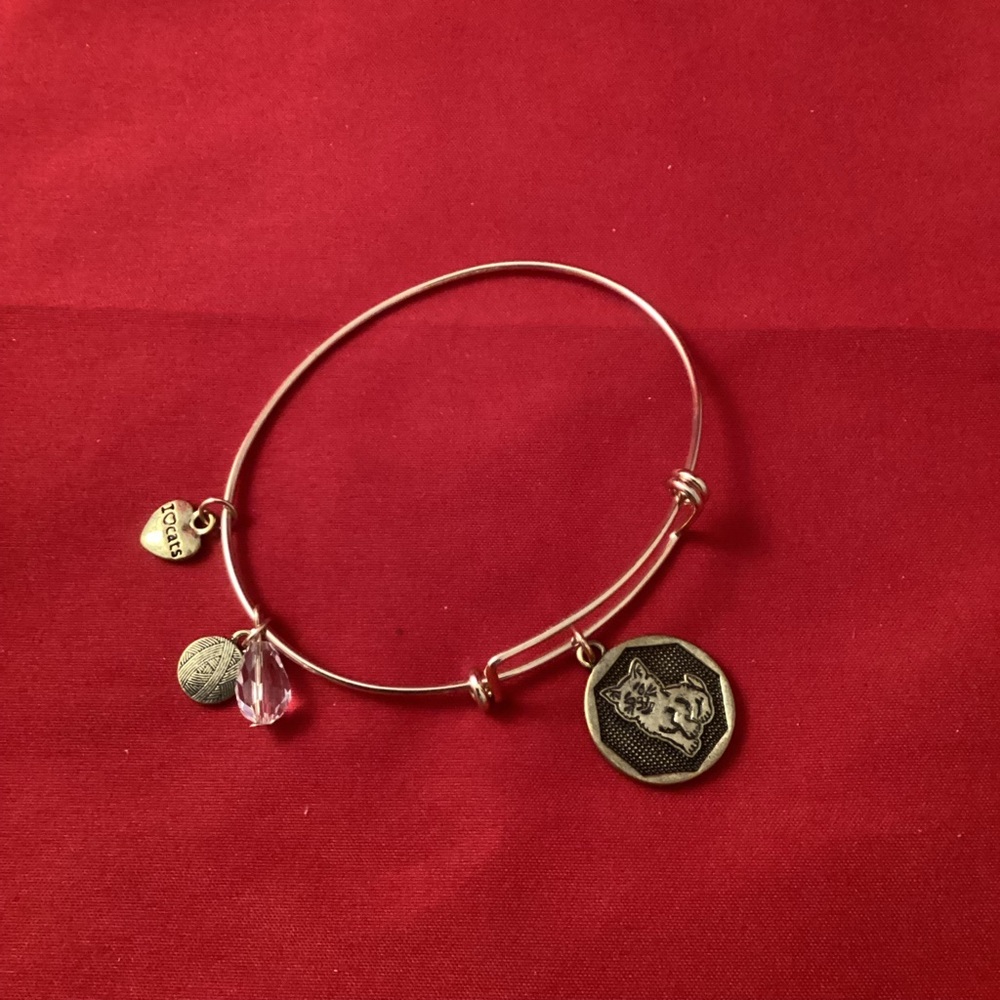 Cat lover metallic bracelet